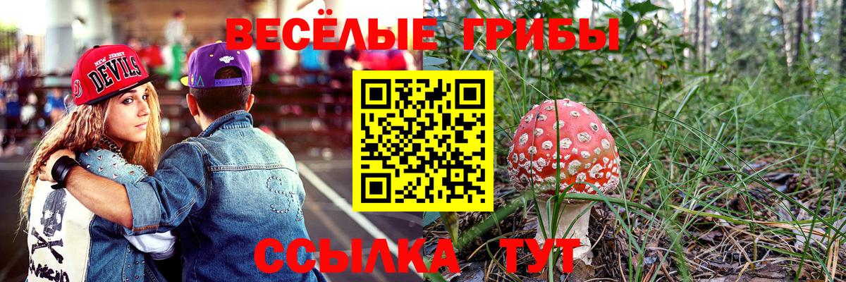 Ишим  Псилоцибиновые грибы прущие грибы  наркотики  Вход с VPN 