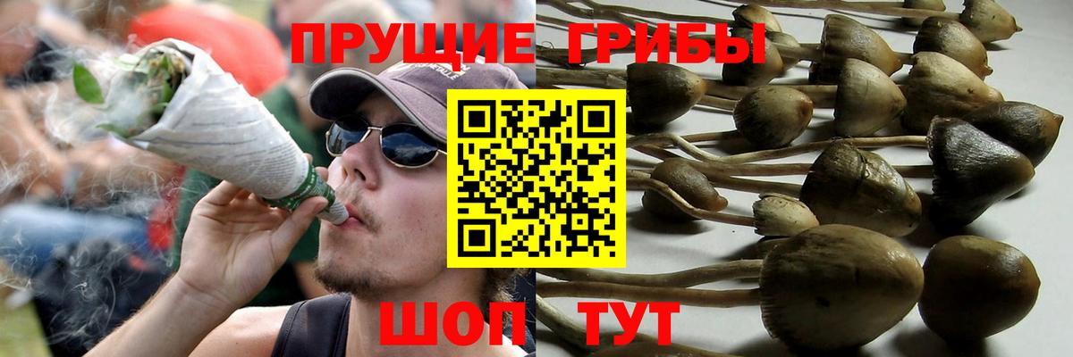 Галлюциногенные грибы MAGIC MUSHROOMS Ишим